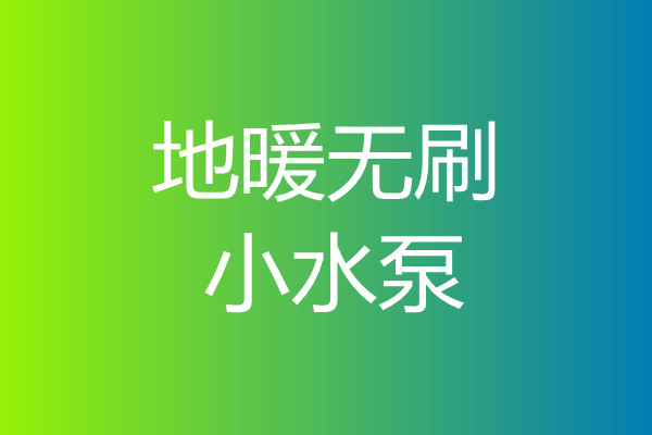 地曖無(wú)刷小水泵